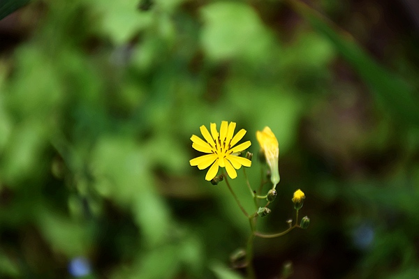 科茂参与中国循环经济协会组织的废塑料化学循环政策研讨会